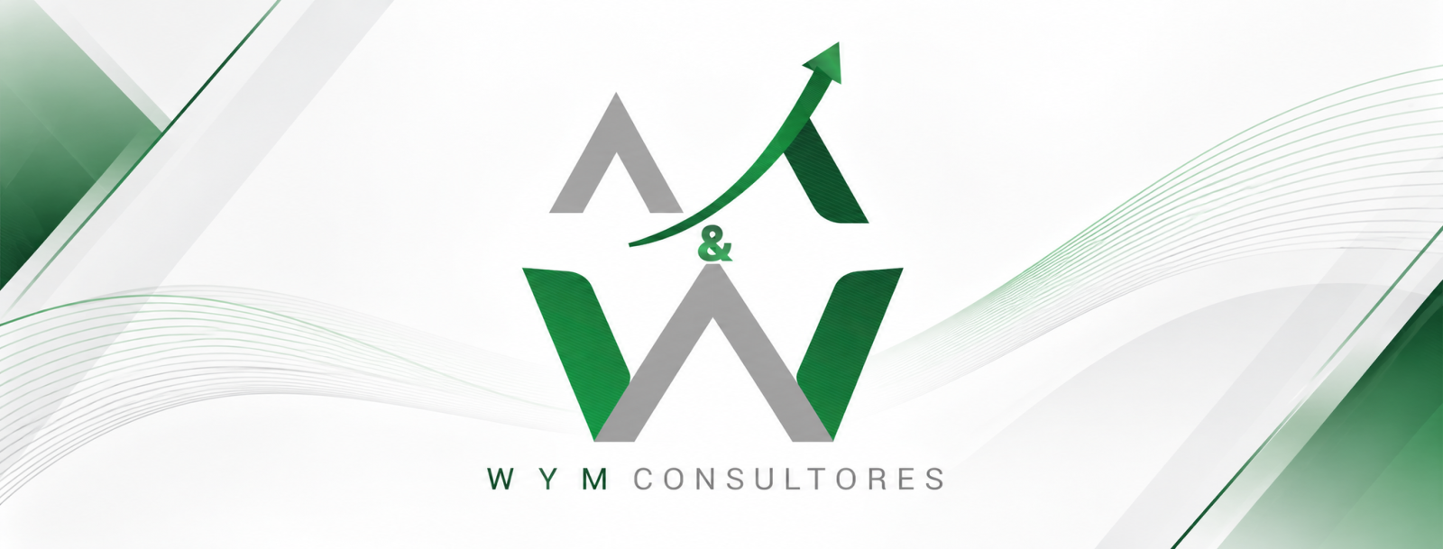 Portada de WyM Consultores S.A